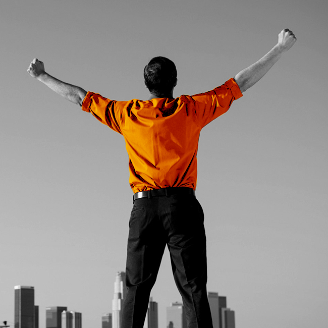 Executive Individual Plan